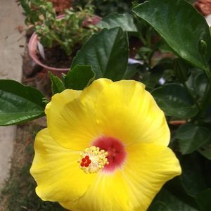 Meet your Posher, Jacquie